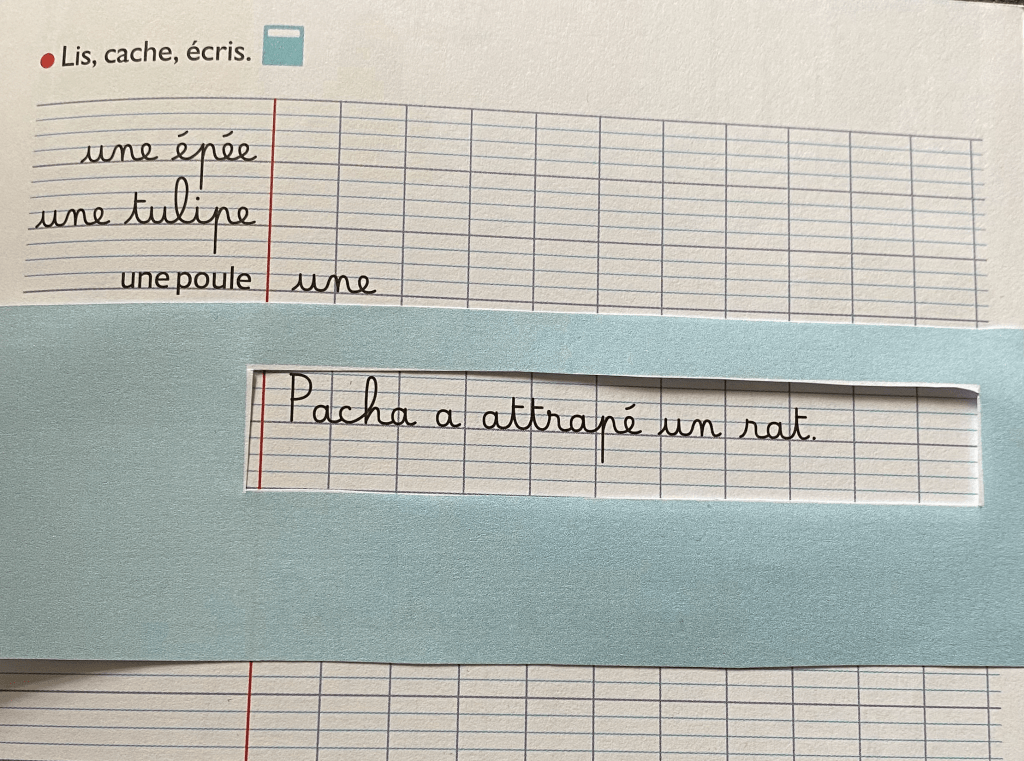 cache lecture Bordas pour enseigner les stratégies de copie au #CP